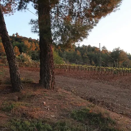 Masia Sagues *