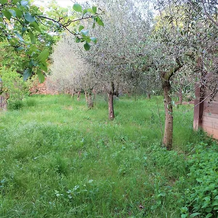 Masia Sagués Apartamento Poblet
